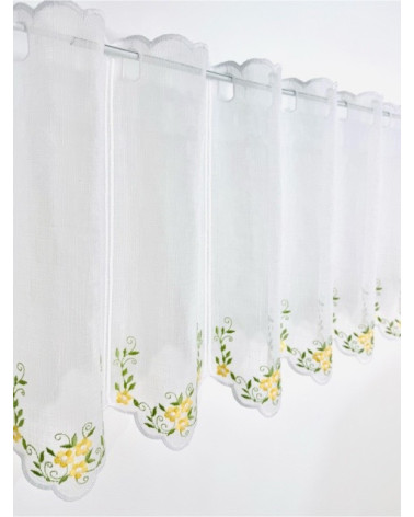 Zazdrostka żółte kwiatuszki wysokość 40cm