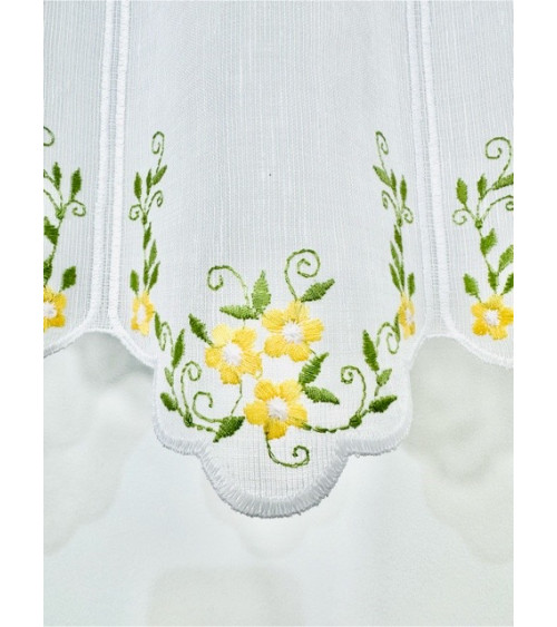 Zazdrostka żółte kwiatuszki wysokość 40cm