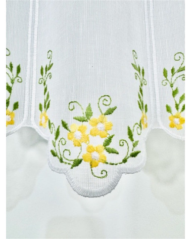 Zazdrostka żółte kwiatuszki wysokość 40cm