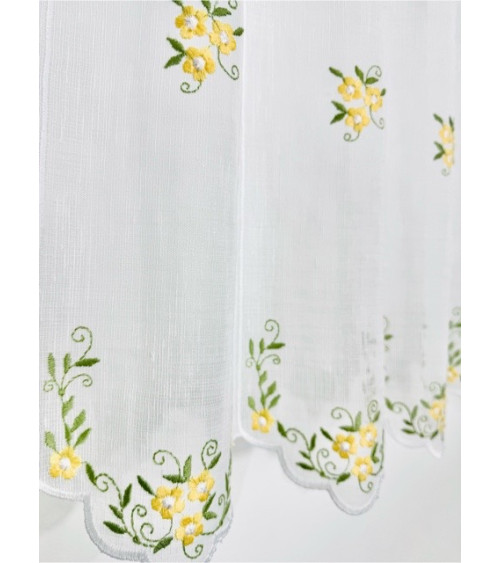 Zazdrostka żółte kwiatuszki wysokość 60cm