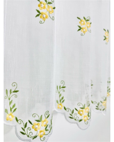 Zazdrostka żółte kwiatuszki wysokość 60cm