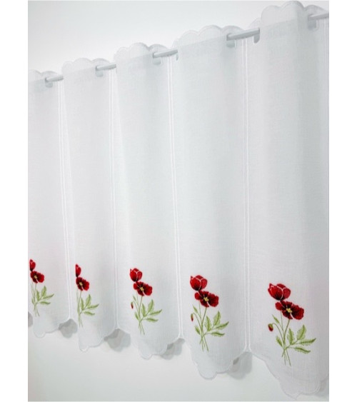 Zazdrostka maki wysokość 60cm