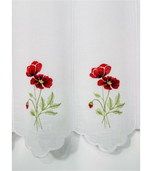 Zazdrostka maki wysokość 60cm